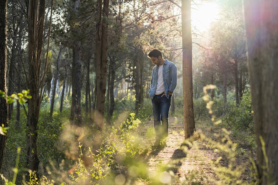 Un  homme se ballade en forêt, il regarde la nature et réfléchit à son rapport à l'environnement. 
