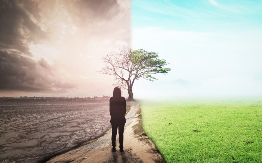 Une femme est face à un paysage de nature. Le paysage est divisé en deux parties. A gauche on peut voir un paysage sombre qui représente le chaos. A droite on peut voir la nature verdoyante.