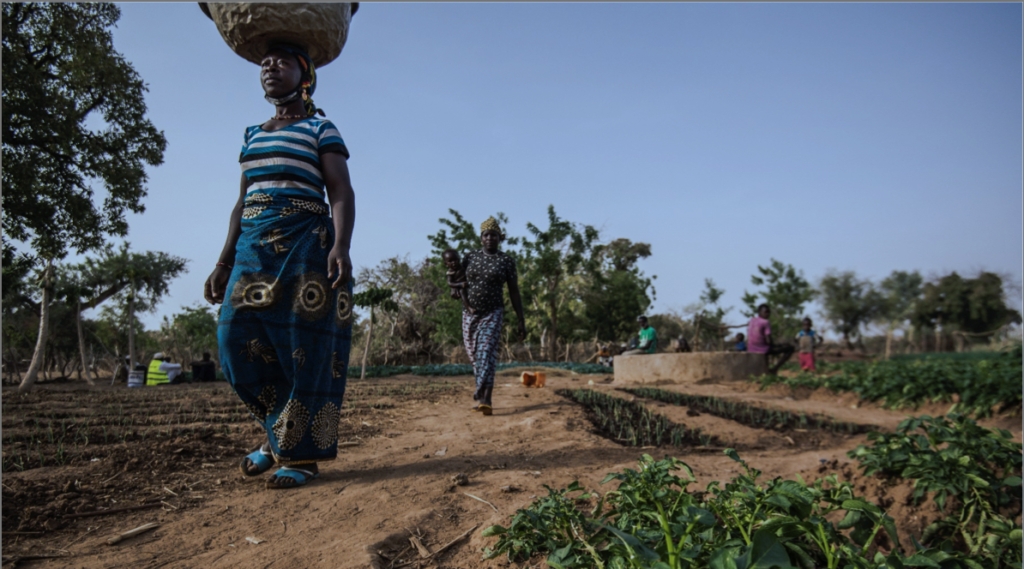 Illustration du rapport Oxfam "Pas si net" représentant des agricultrices d'un village du Burkina Faso. Leur activité pourrait être menacée par l'accaparement de leur terre. 
