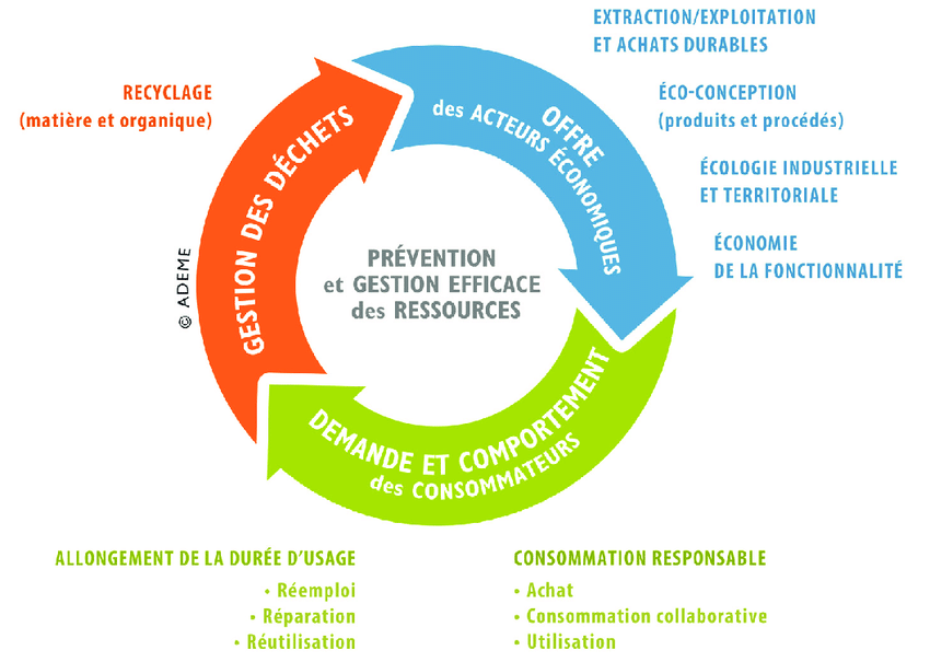 Voici un schéma représentant l'économie circulaire à partir des 7 piliers et des trois domaines : offre, demande, gestion des déchets