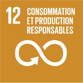 Le douzième objectif de développement durable (ODD) de l'ONU : établir des modes de consommation et de production durales. Un symbole de l'infini représentant la durabilité