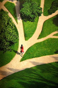 Vue aérienne d'une femme dans un jardin marchant sur un chemin parmi plusieurs