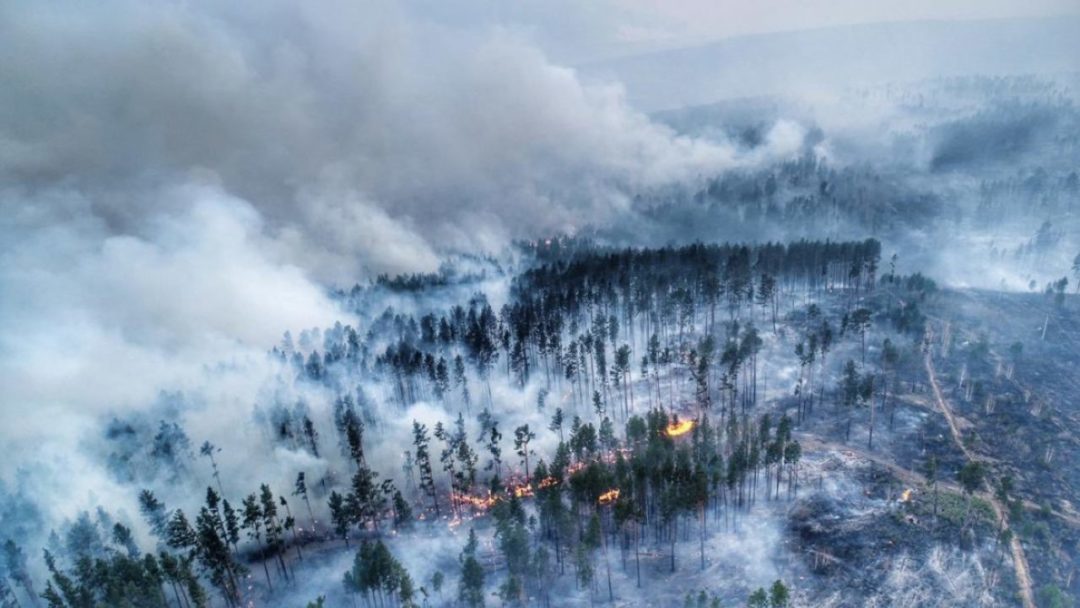 La Russie ne réagit pas au rapport du GIEC, malgré des incendies historiques en Sibérie.