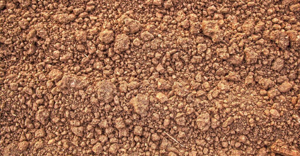 découvrez ce qu'est l'empreinte carbone, son impact sur l'environnement et comment la réduire pour contribuer à un avenir durable.