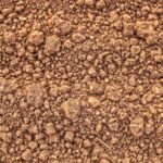 découvrez ce qu'est l'empreinte carbone, son impact sur l'environnement et comment la réduire pour contribuer à un avenir durable.