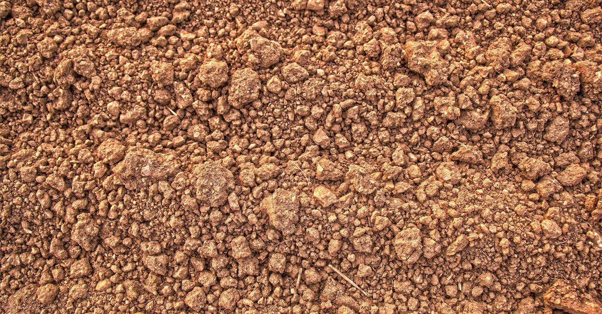 découvrez ce qu'est l'empreinte carbone, son impact sur l'environnement et comment la réduire pour contribuer à un avenir durable.