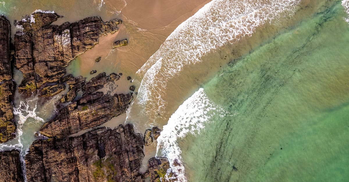 découvrez electro valberg, votre spécialiste en électroménager et équipements électroniques de qualité pour la maison.