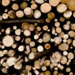 découvrez tout sur l'empreinte carbone : définition, impacts environnementaux et solutions pour la réduire efficacement au quotidien.