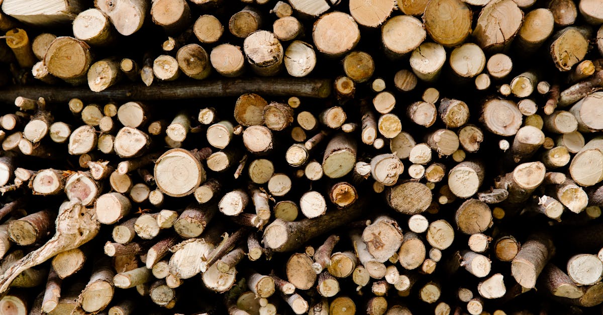 découvrez tout sur l'empreinte carbone : définition, impacts environnementaux et solutions pour la réduire efficacement au quotidien.