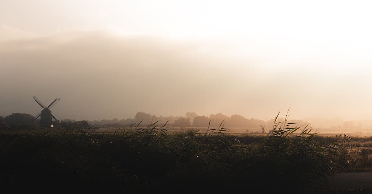 découvrez l'impact de l'empreinte carbone en agriculture et les mesures pour réduire les émissions afin de promouvoir une agriculture durable.