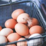 découvrez l'empreinte carbone dans l'agriculture et ses impacts environnementaux, ainsi que les solutions pour adopter des pratiques agricoles durables et réduire les émissions de gaz à effet de serre.