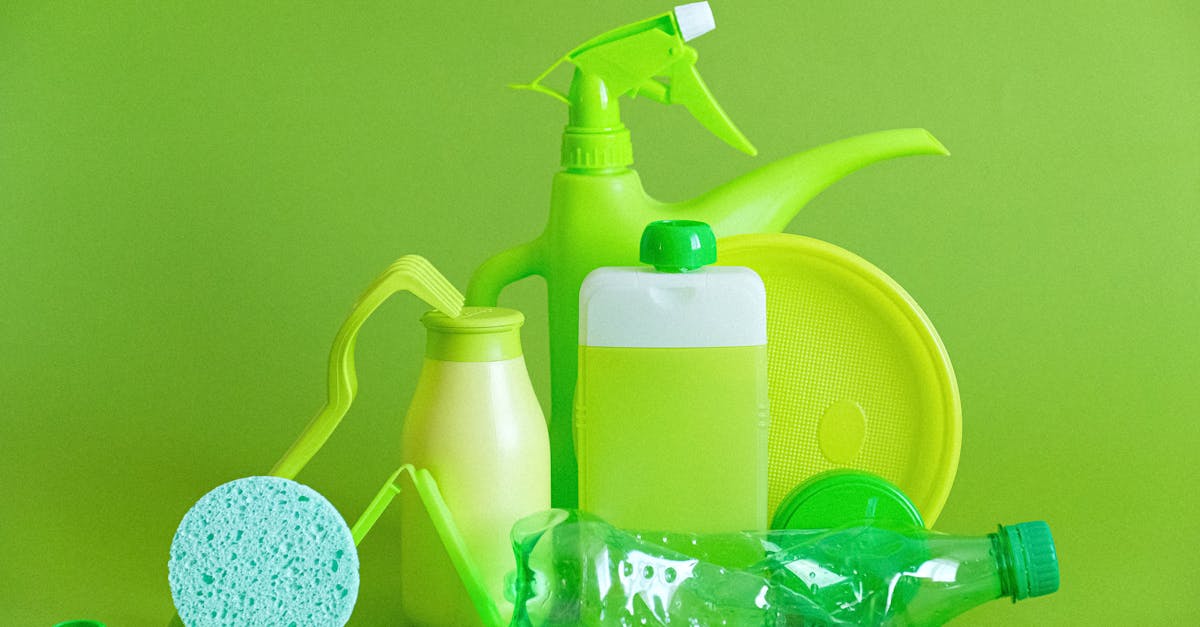 découvrez l'importance de la durabilité environnementale et comment adopter des pratiques respectueuses de la nature pour préserver notre planète.