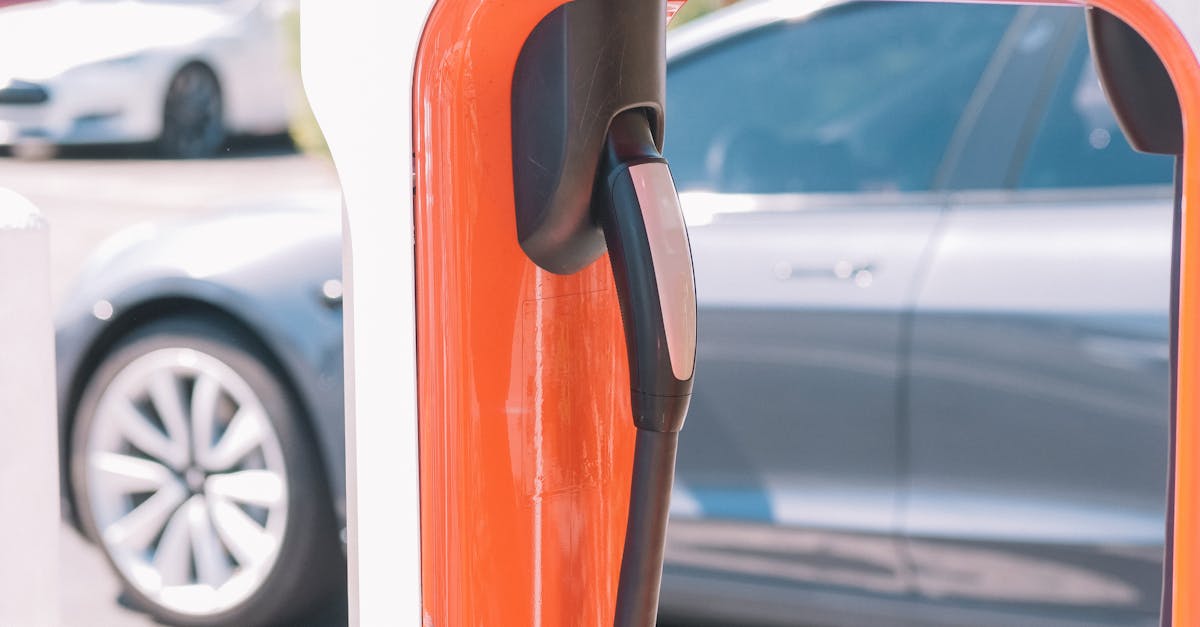 découvrez nos initiatives et conseils pour promouvoir la durabilité et protéger notre planète pour les générations futures.