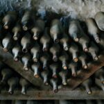 Bouteilles dans une cave à vin, pour illustrer un avis sur une cave à vin Valberg