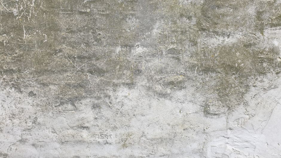 Déshumidificateur dans une pièce humide, image d’illustration