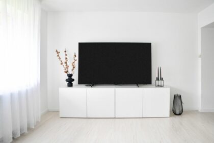 TV Edenwood : illustration dépannage écran noir avec le son