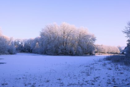 Congélateur domestique : givre, dégivrage et entretien