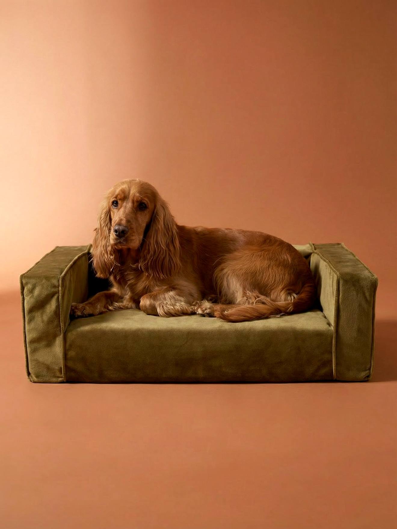 Canapé chien velours moyen bronze