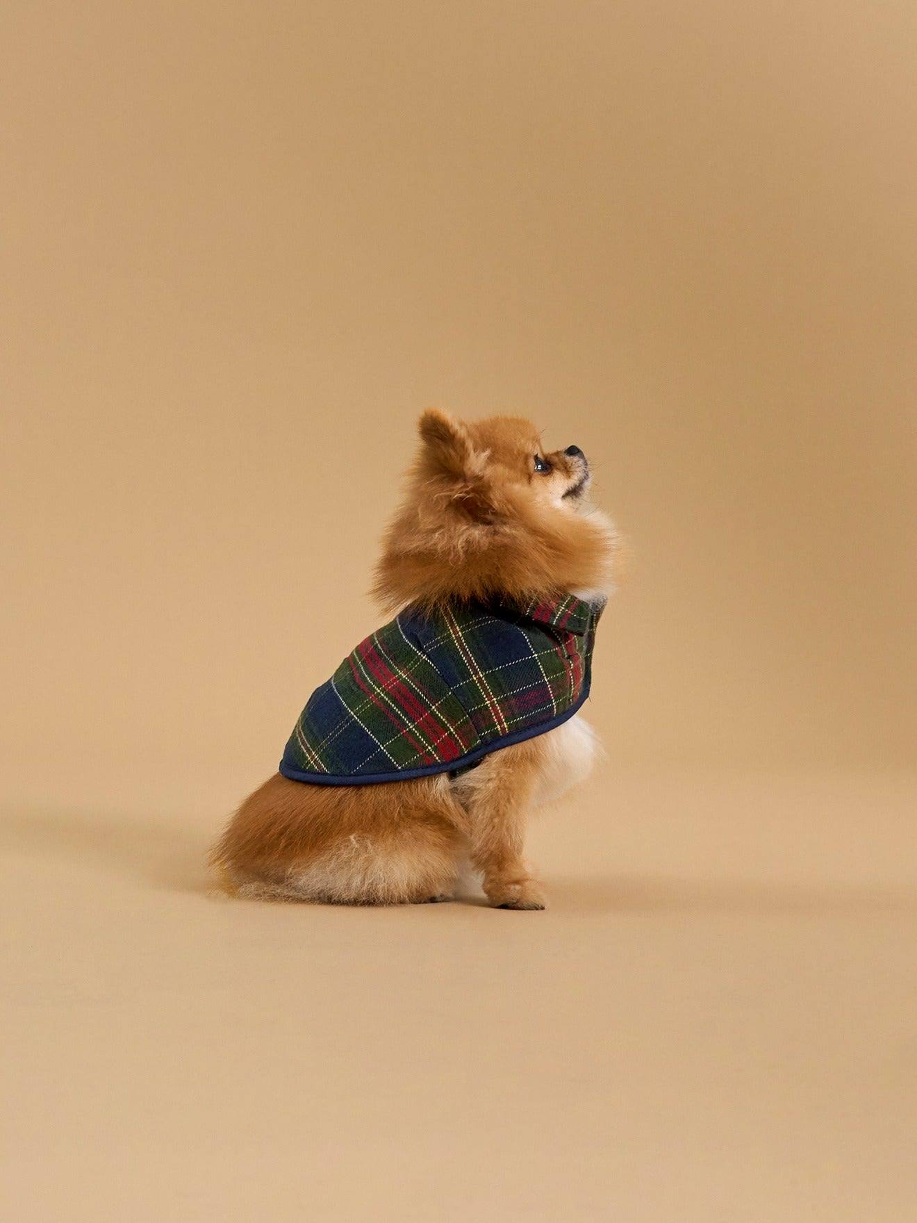 Manteau Pour Chien Doublé - Collection Fine Truffe Carreaux Ecossais Vert