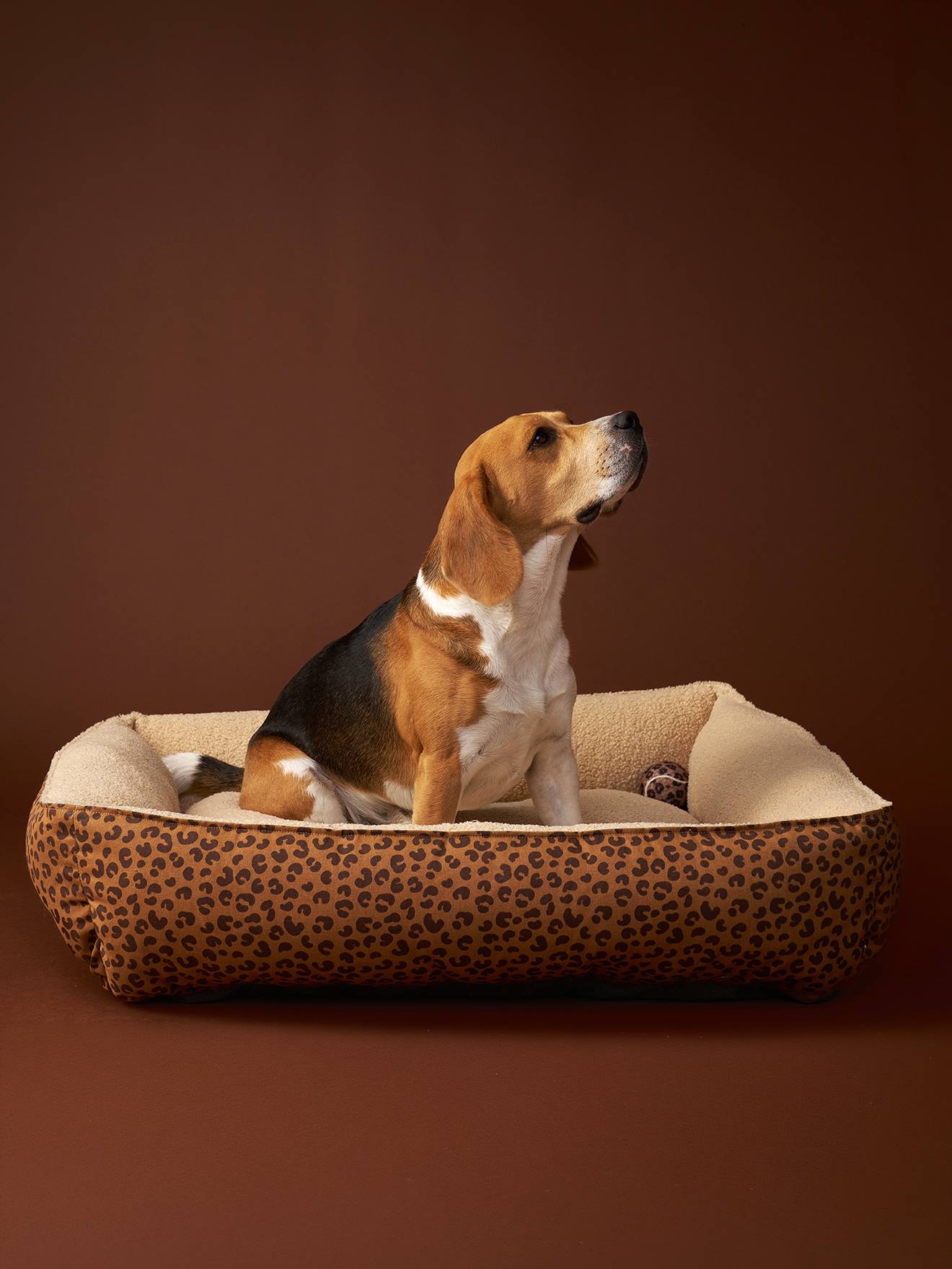 Panier matelassé en velours pour chien, disponible en 3 tailles marron imprimé
