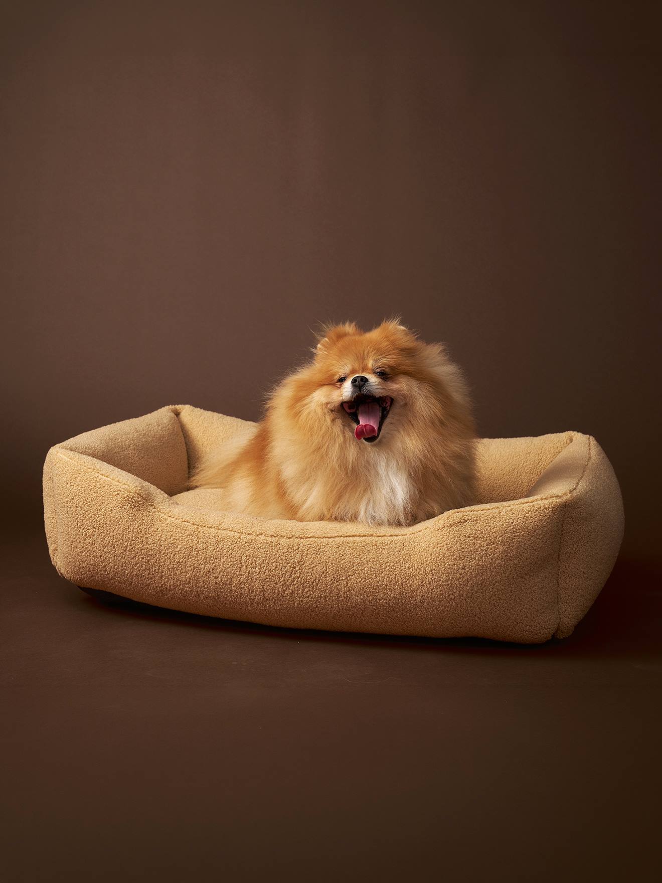 Panier matelassé pour chiens, disponible en 2 tailles argile