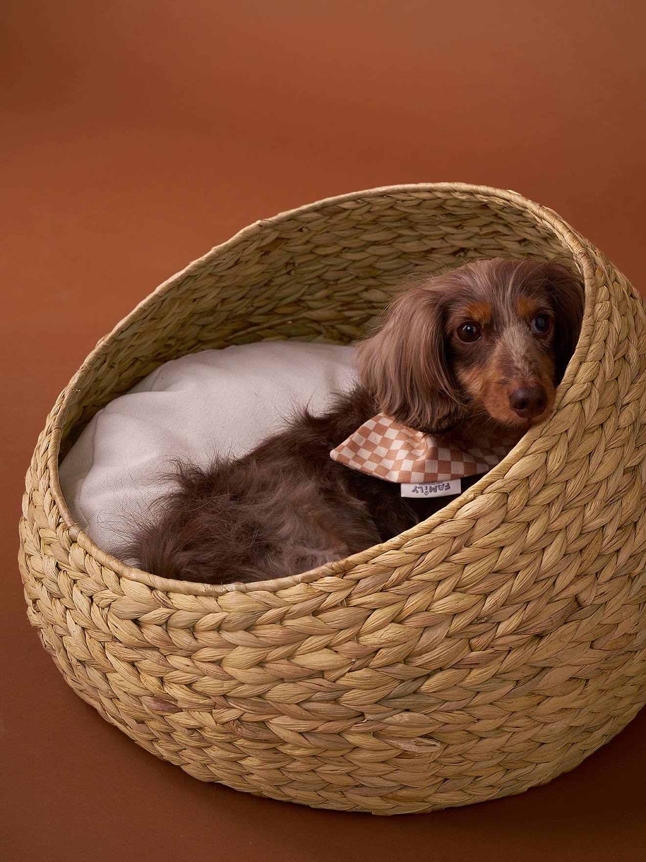 Panier ovale pour chat et chien beige