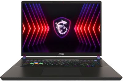 PC Gamer MSI Vector 17 HX A13VHG-604FR