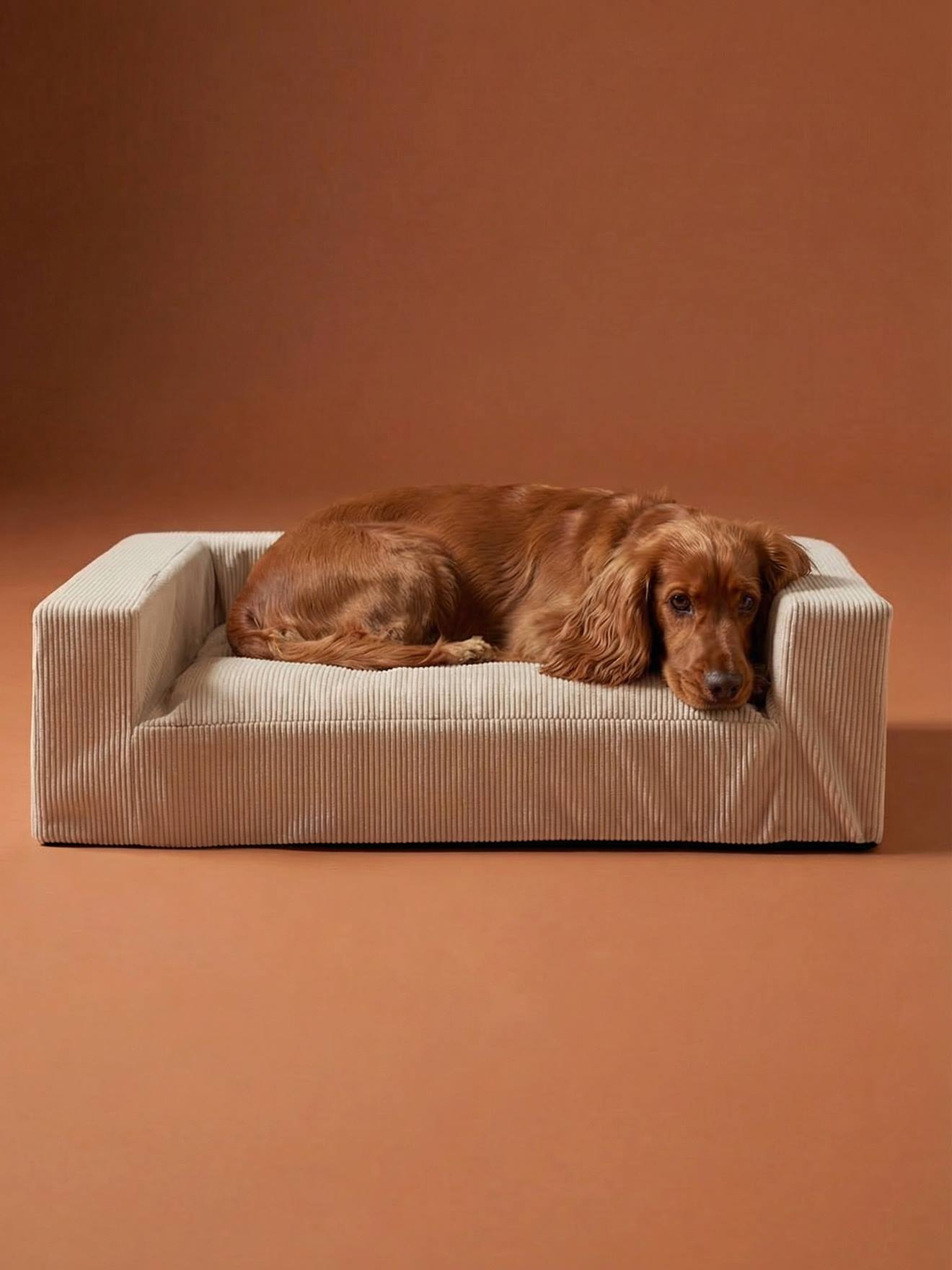 Sofa chien moyen velours côtelé écru