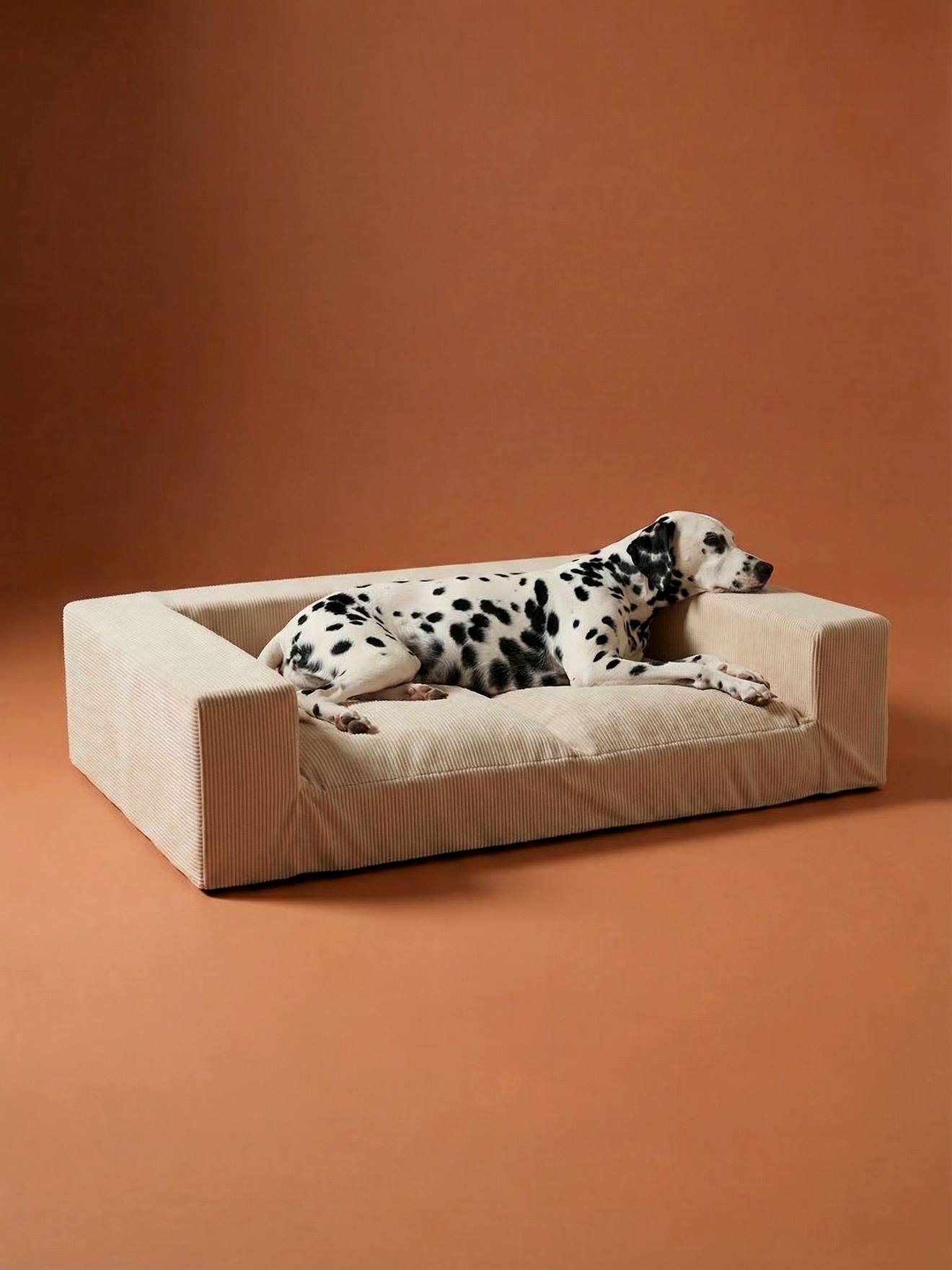 Sofa XL chien velours côtelé écru
